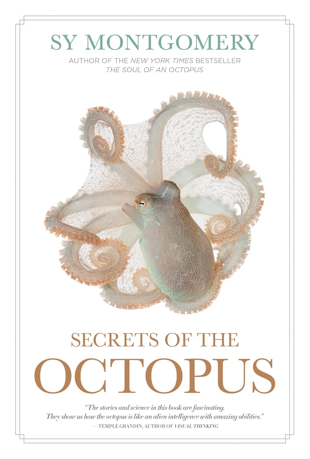 SECRETS OF THE OCTOPUS (HC)