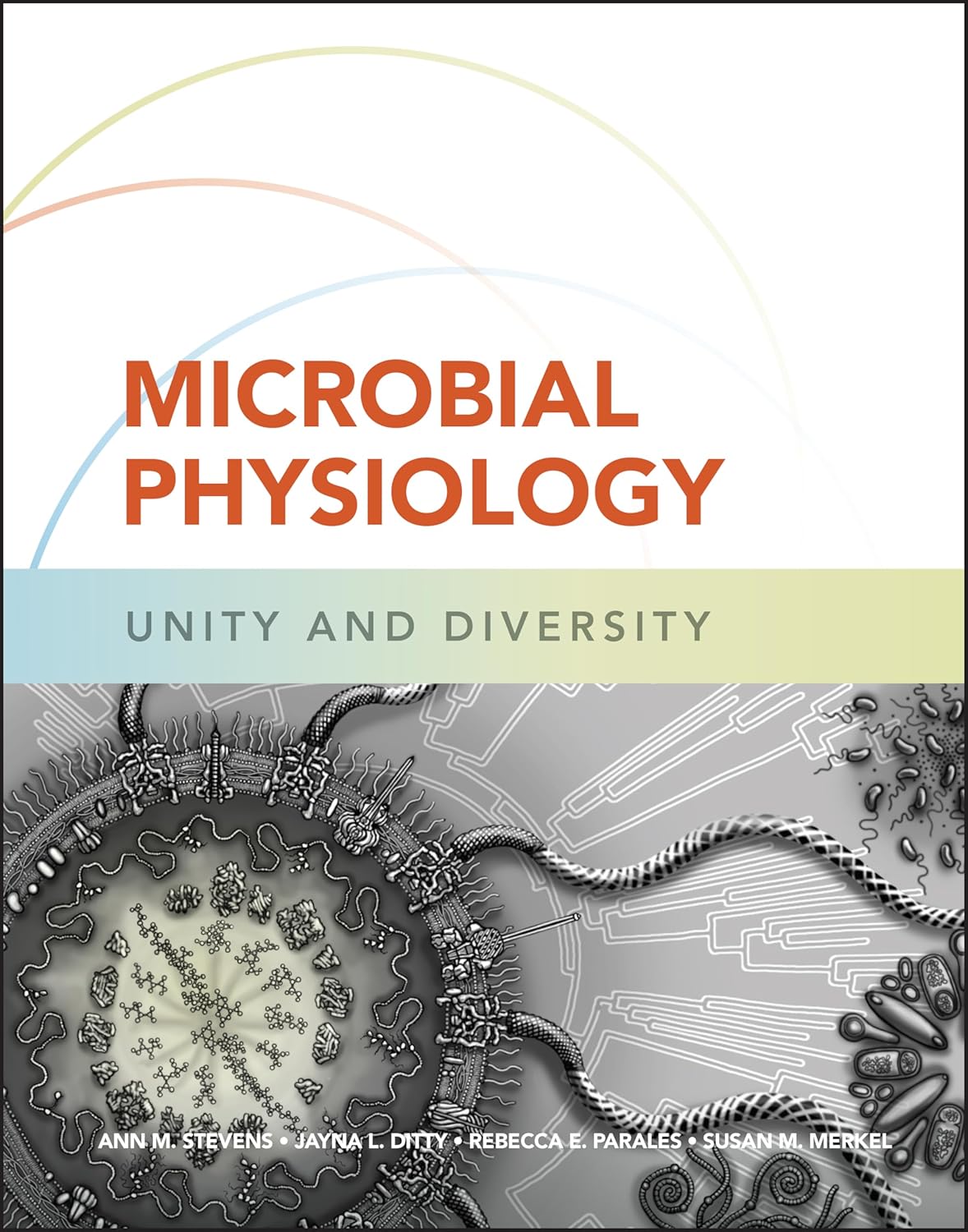 MICROBIAL PHYSIOLOGY: UNITY AND DIVERSITY (HC)