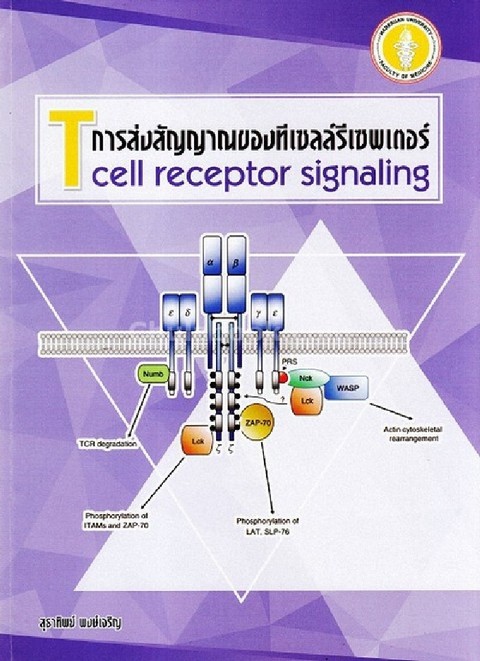 การส่งสัญญาณของทีเซลล์รีเซพเตอร์ (T CELL RECEPTOR SIGNALING)