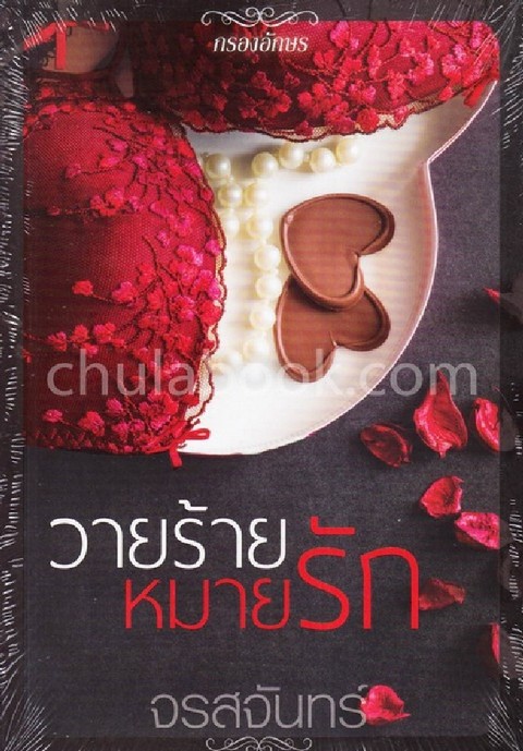 วายร้ายหมายรัก