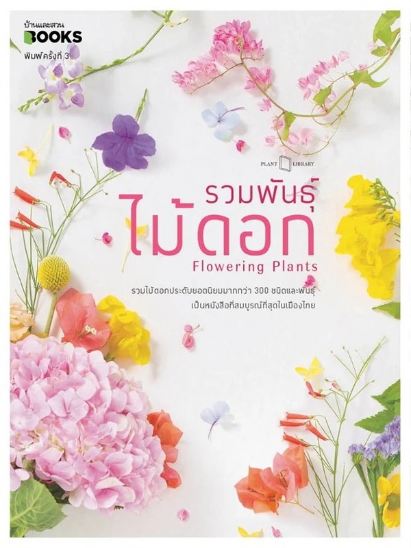 รวมพันธุ์ไม้ดอก (FLOWERING PLANTS)