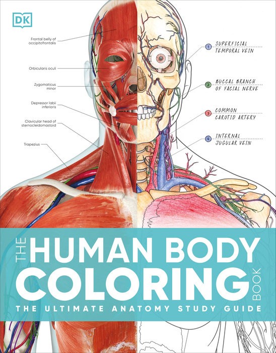 THE HUMAN BODY COLORING BOOK: THE ULTIMATE ANATOMY STUDY GUIDE
