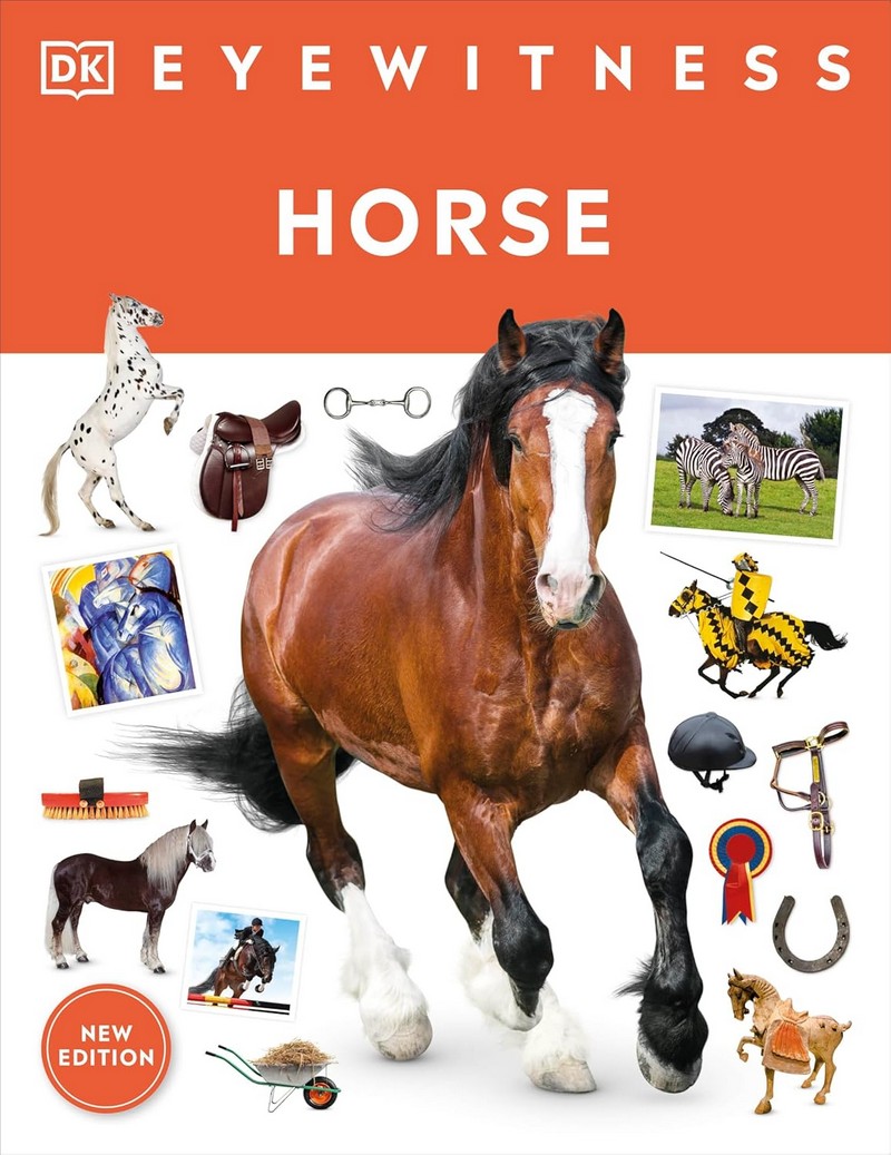 HORSE: EYEWITNESS