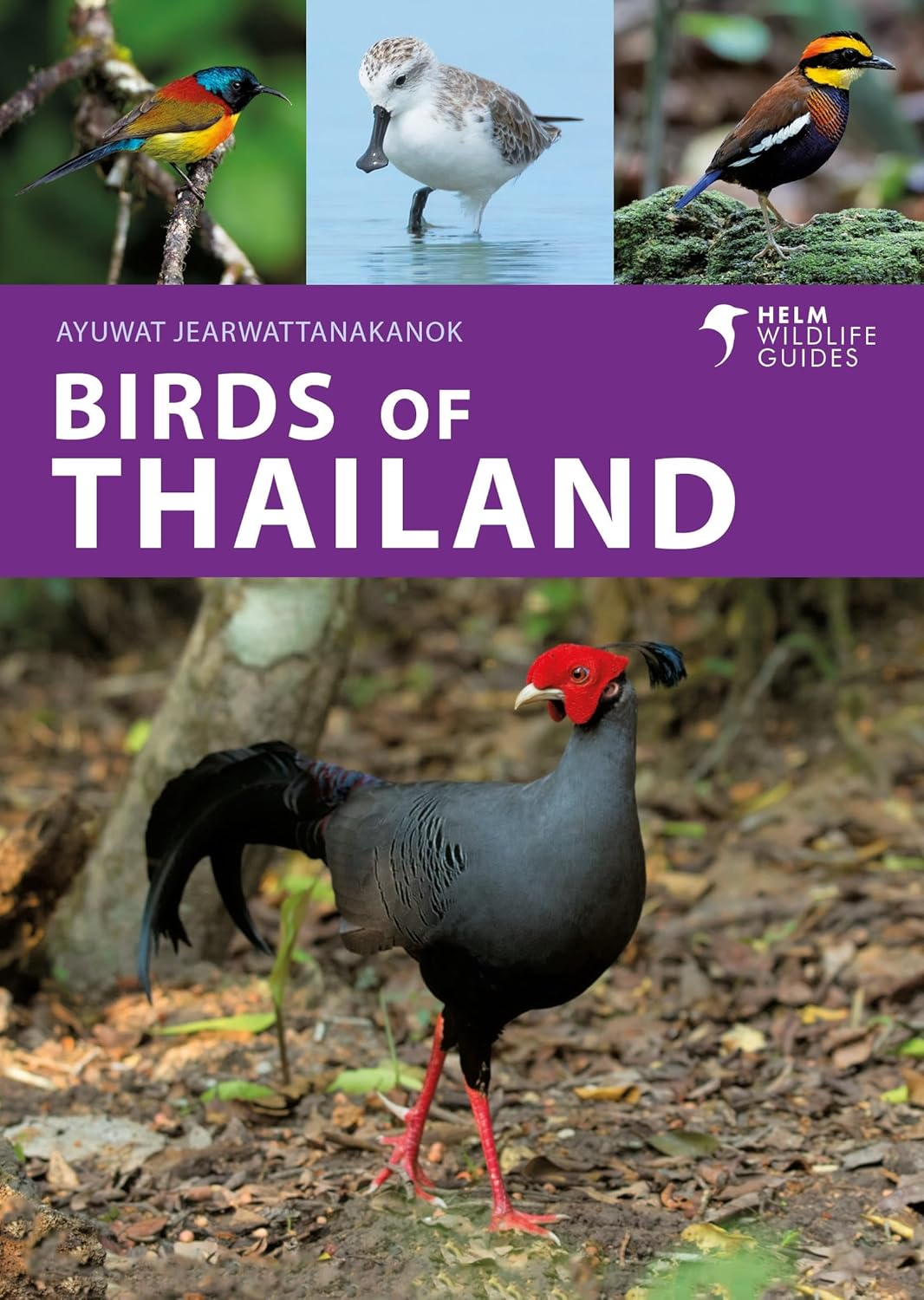 BIRDS OF THAILAND