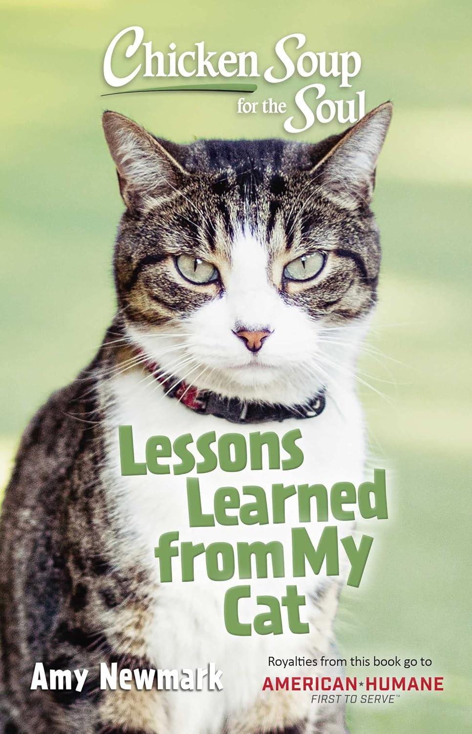 CHICKEN SOUP FOR THE SOUL: LESSONS LEARNED FROM MY CAT