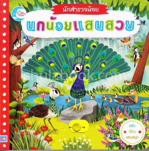 นกน้อยแสนสวย :นักสำรวจน้อย