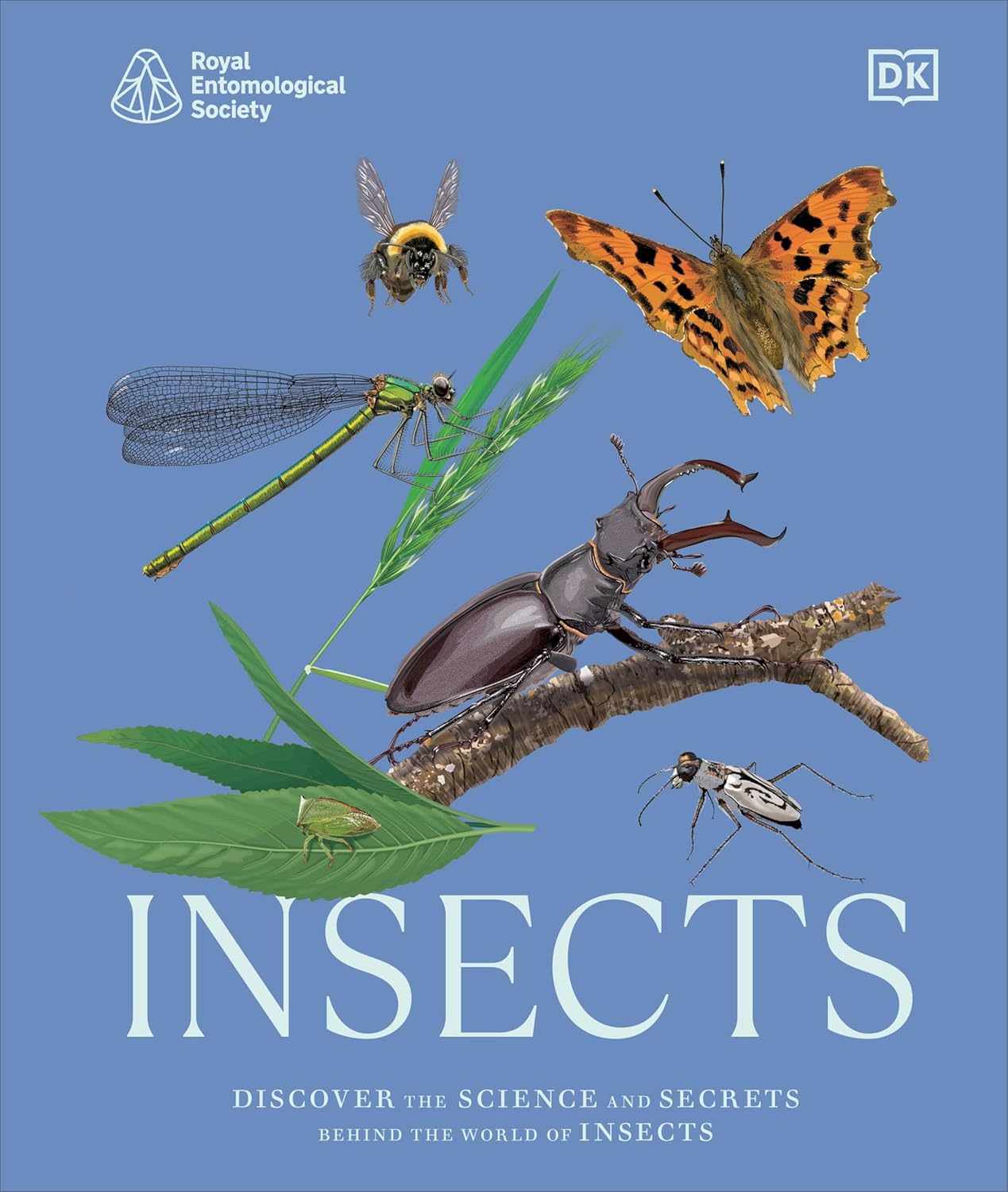 INSECTS: DISCOVER THE SCIENCE AND SECRETS BEHIND THE WORLD OF INSECTS (HC)