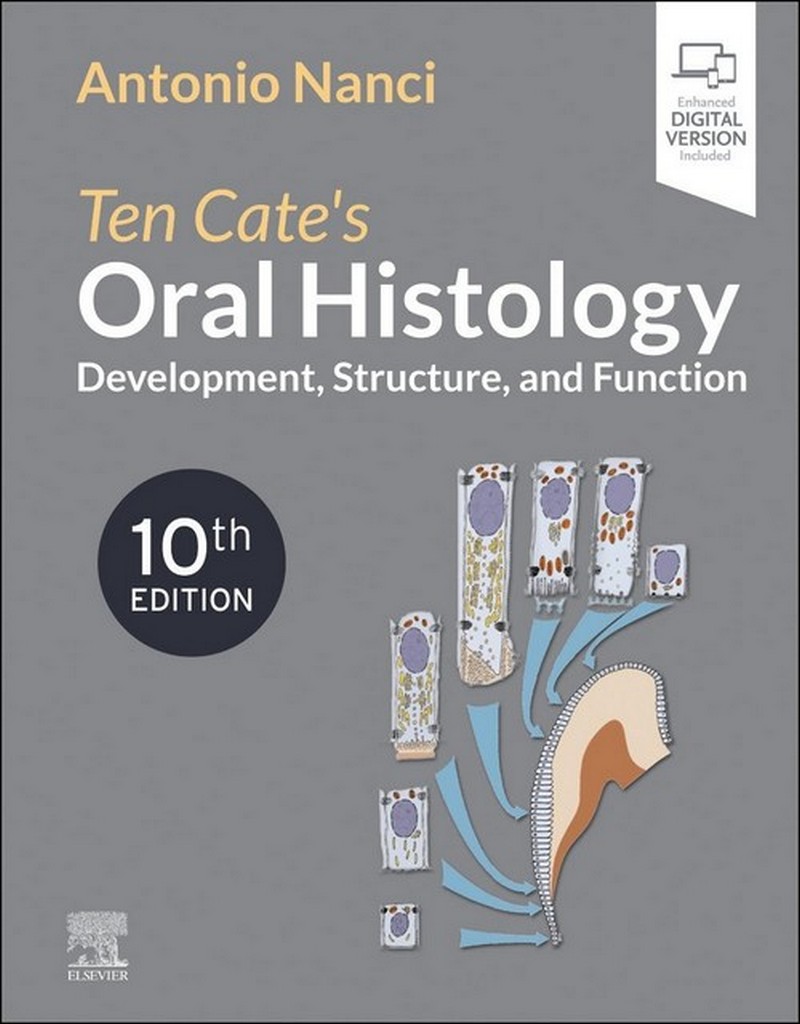 TEN CATES ORAL HISTOLOGY: DEVELOPMENT, STRUCTURE, AND FUNCTION