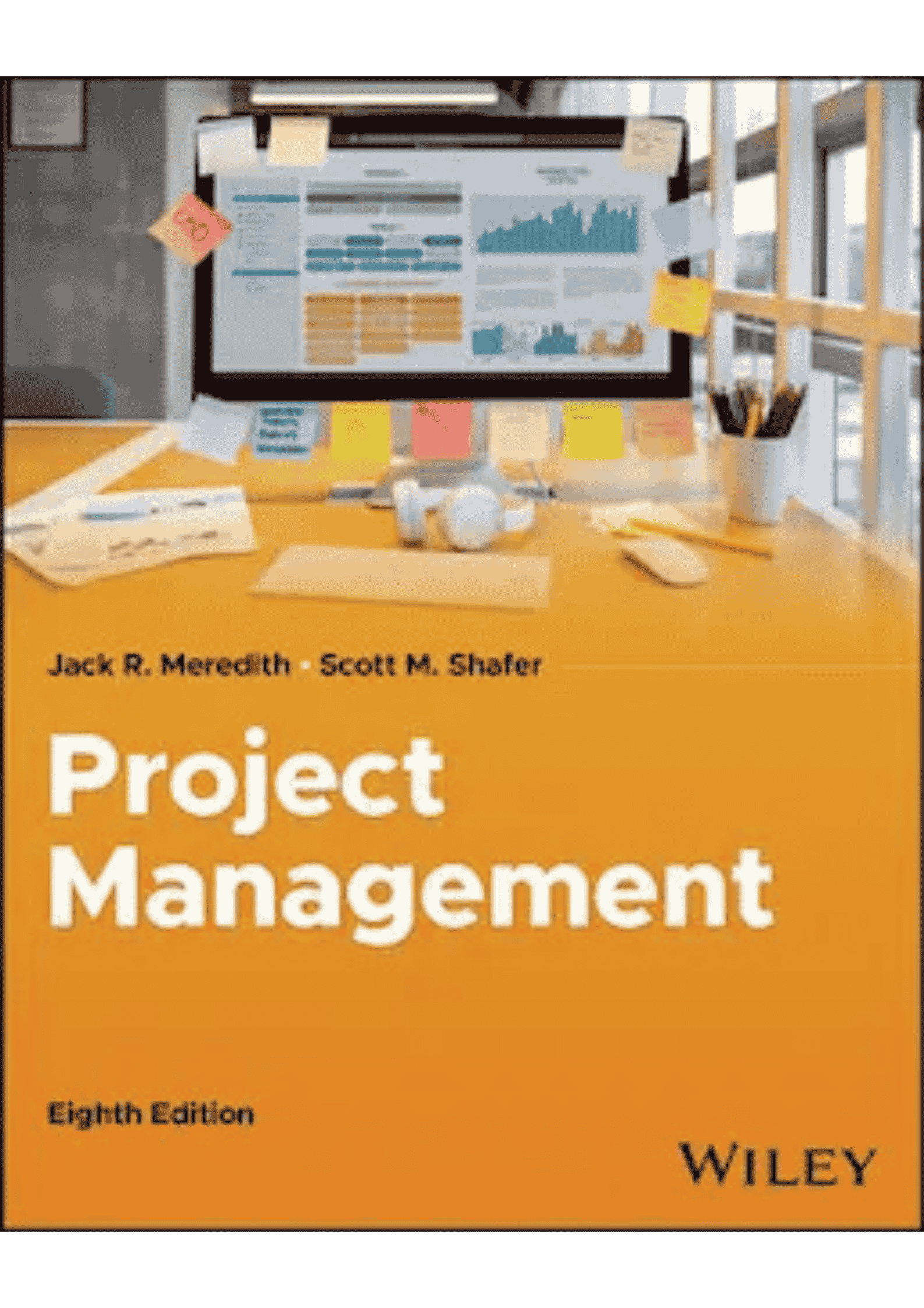 PROJECT MANAGEMENT IN PRACTICE