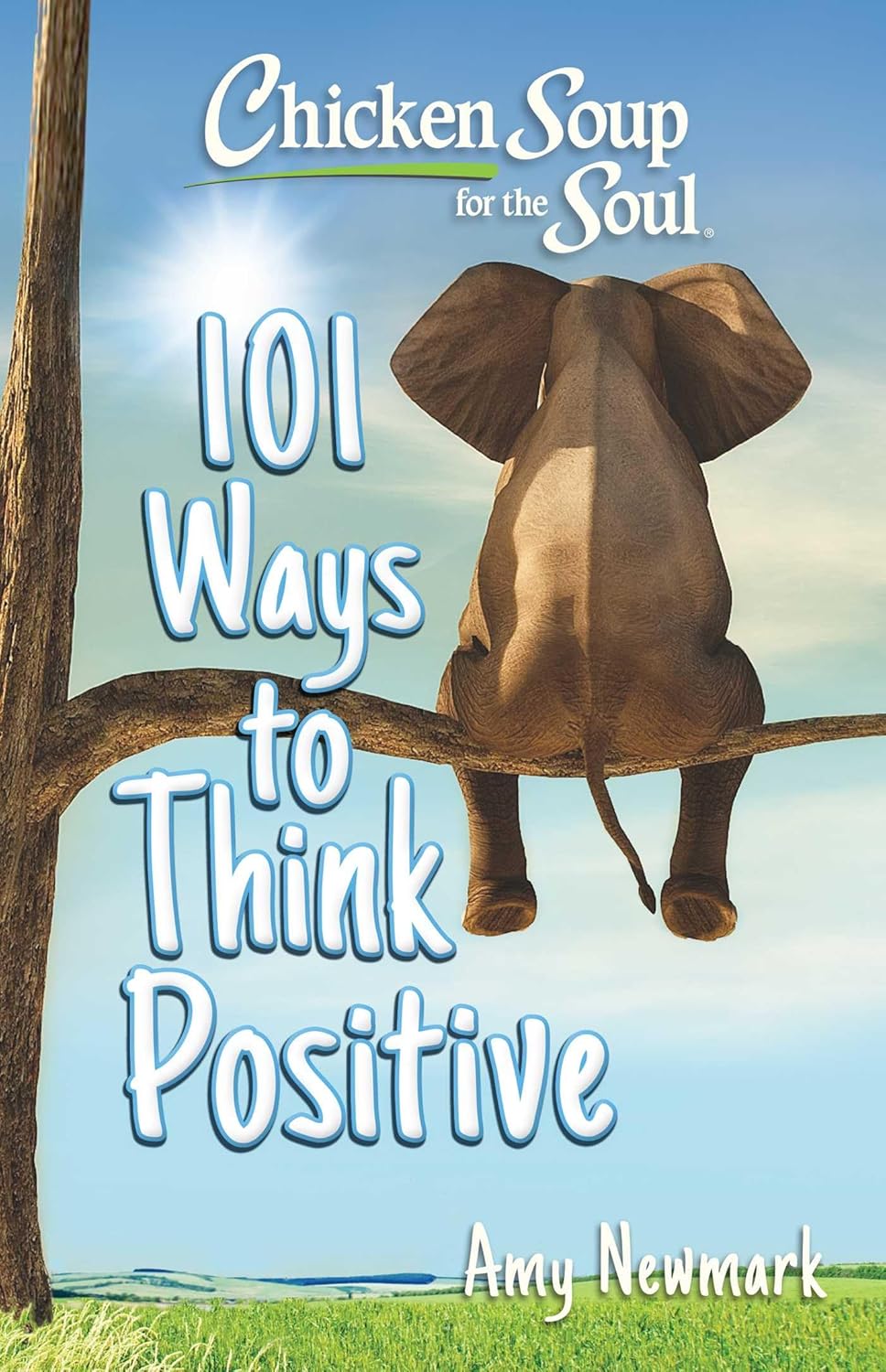 CHICKEN SOUP FOR THE SOUL: 101 WAYS TO THINK POSITIVE