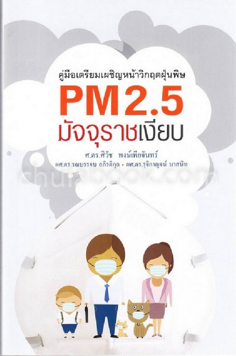 PM 2.5 มัจจุราชเงียบ