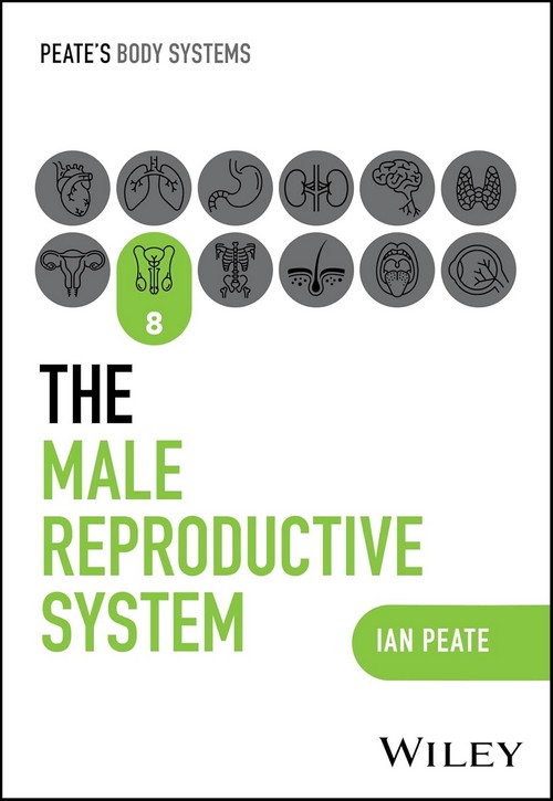 THE MALE REPRODUCTIVE SYSTEM