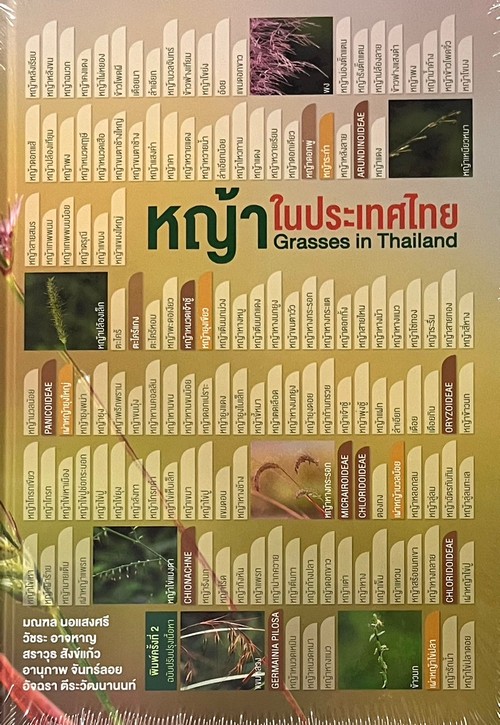 หญ้าในประเทศไทย