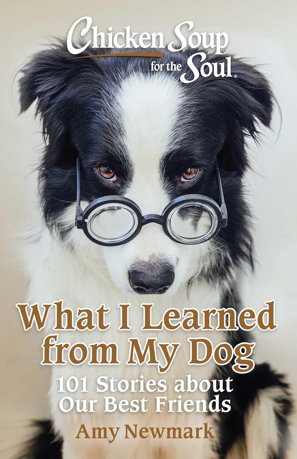 CHICKEN SOUP FOR THE SOUL: WHAT I LEARNED FROM MY DOG