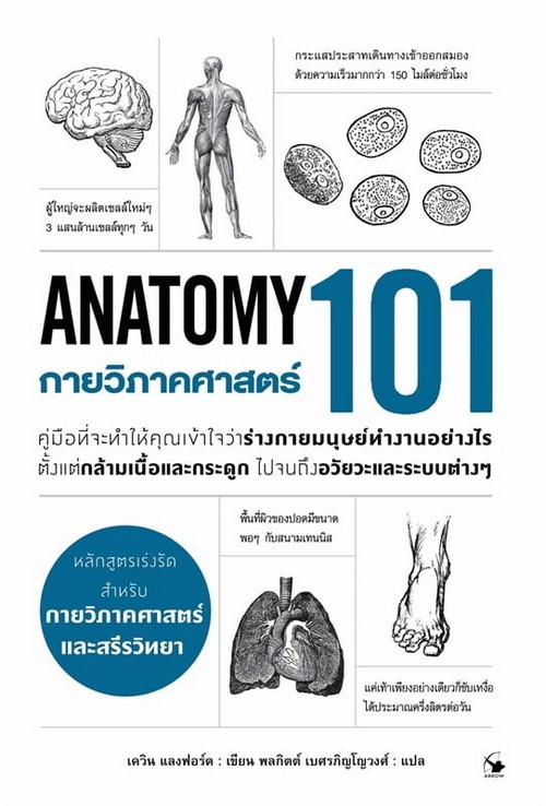 กายวิภาคศาสตร์ 101 (ANATOMY 101)