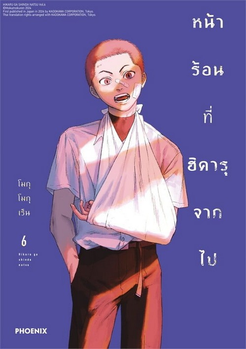 หน้าร้อนที่ฮิคารุจากไป เล่ม 6 (การ์ตูน)