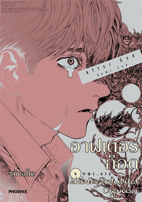 อาฟเตอร์ก็อด เล่ม 6 (การ์ตูน)