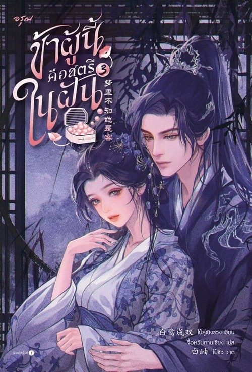 ข้าผู้นี้คือสตรีในฝัน เล่ม 3
