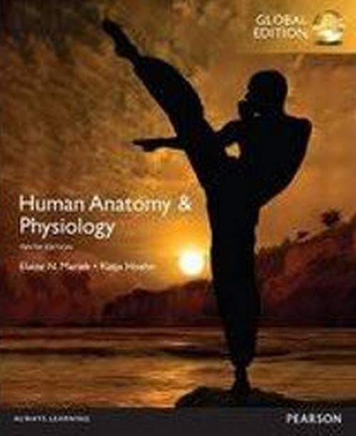 HUMAN ANATOMY AND PHYSIOLOGY (GLOBAL EDITION) **