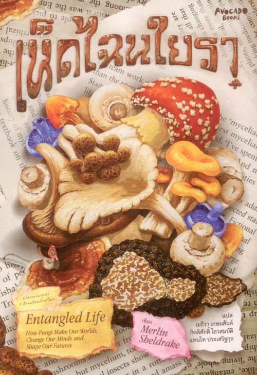 เห็ดไฉนใยรา