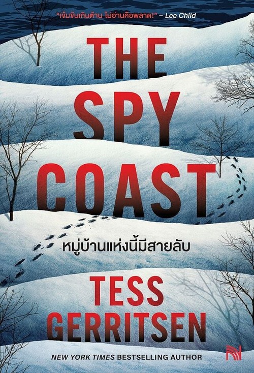 หมู่บ้านแห่งนี้มีสายลับ (THE SPY COAST)
