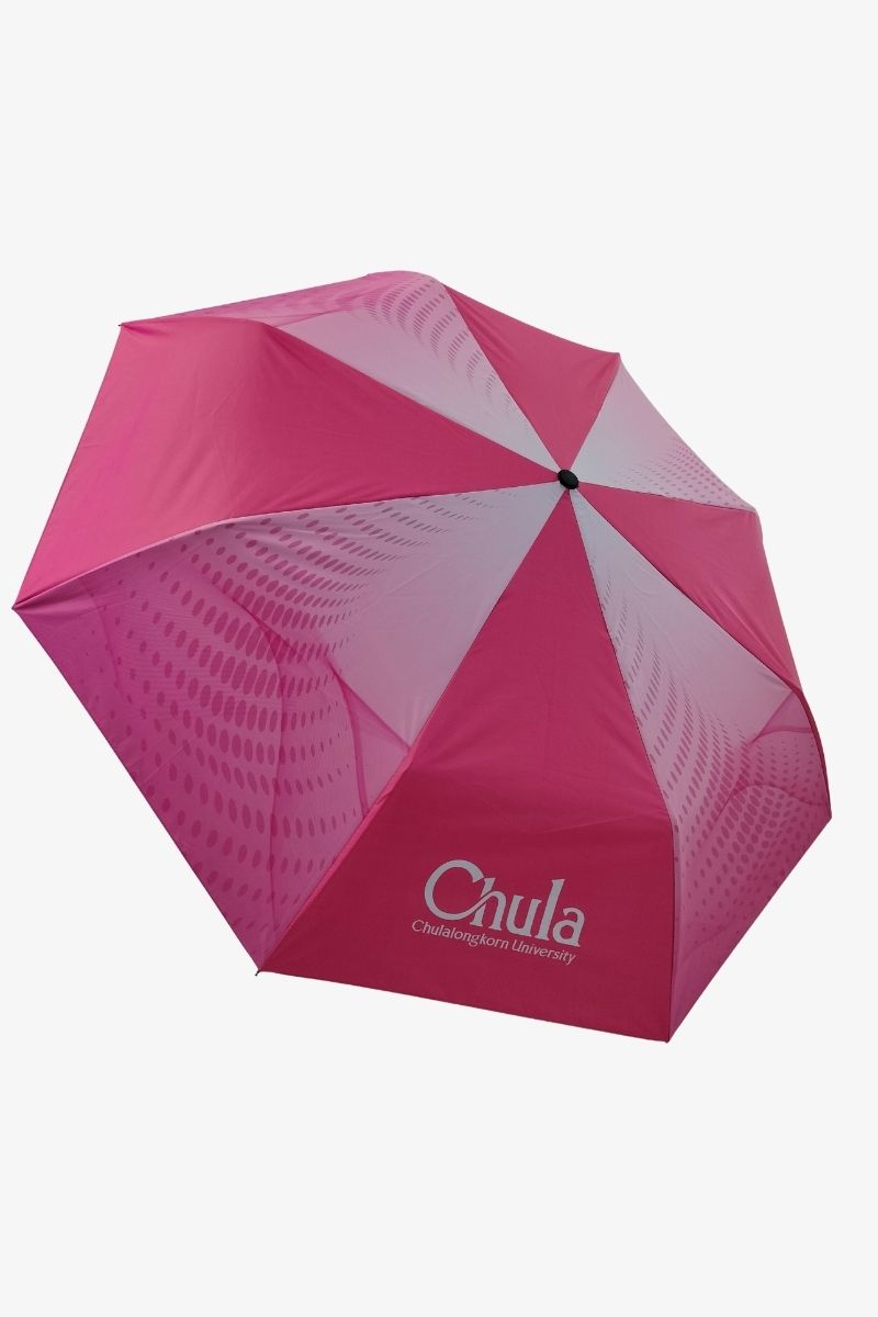 ร่ม Auto basic พิมพ์ลาย ใส่กล่องเปิดปิดหัวท้าย