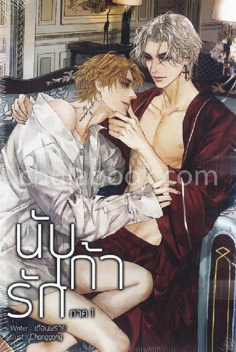 นับเก้ารัก ภาค 1 (เล่ม 1-2)