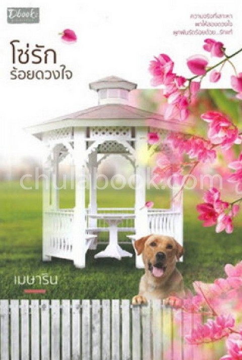 โซ่รักร้อยดวงใจ
