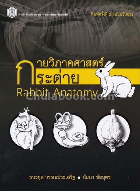 กายวิภาคศาสตร์กระต่าย (RABBIT ANATOMY)