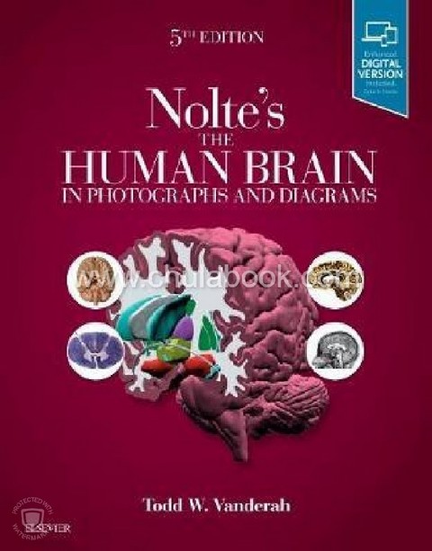 NOLTE'S THE HUMAN BRAIN IN PHOTOGRAPHS AND DIAGRAMS