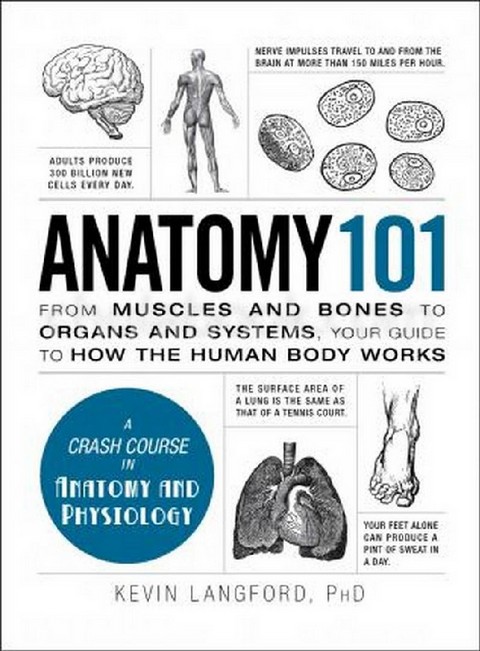 ANATOMY 101: FROM MUSCLES AND BONES TO ORGANS AND SYSTEMS, YOUR GUIDE TO HOW THE HUMAN BODY WORKS