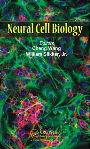 NEURAL CELL BIOLOGY (HC)