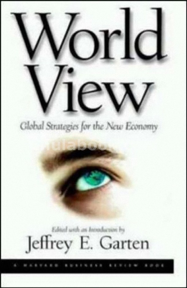 WORLD VIEW: GLOBAL STRATEGIES FOR THE NEW ECONOMY (HC)