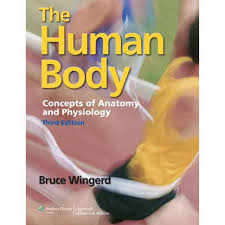 THE HUMAN BODY: CONCEPTS OF ANATOMY AND PHYSIOLOGY