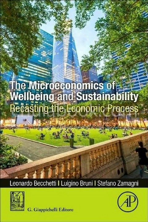 THE MICROECONOMICS OF WELLBEING AND SUSTAINABILITY