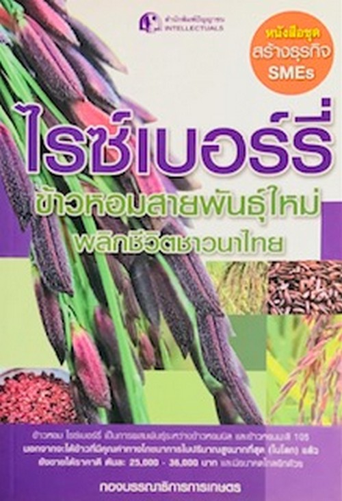 ไรซ์เบอร์รี่ ข้าวหอมสายพันธุ์ใหม่ พลิกชีวิตชาวนาไทย :ชุดสร้างธุรกิจ SMES