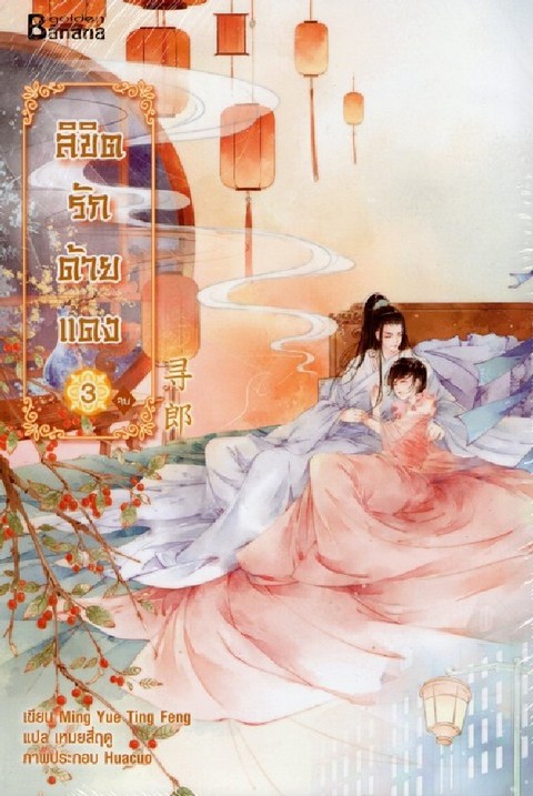 ลิขิตรักด้ายแดง เล่ม 3
