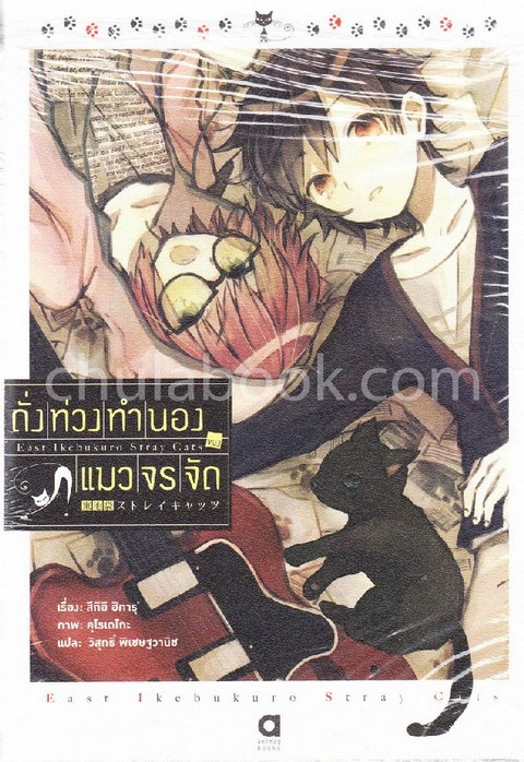 ดั่งท่วงทำนองของแมวจรจัด