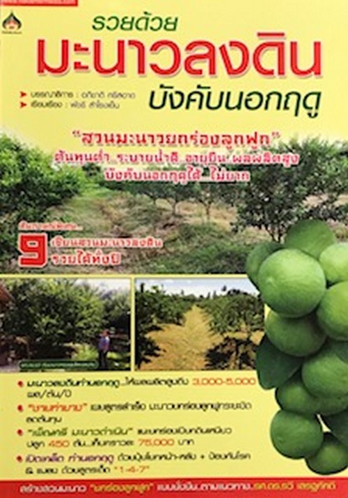รวยด้วยมะนาวลงดิน บังคับนอกฤดู