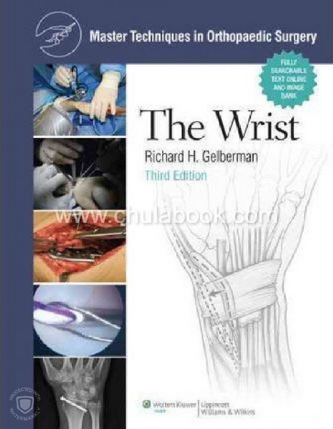 THE WRIST (MASTER TECHNIQUES IN ORTHOPAEDIC SURGERY)