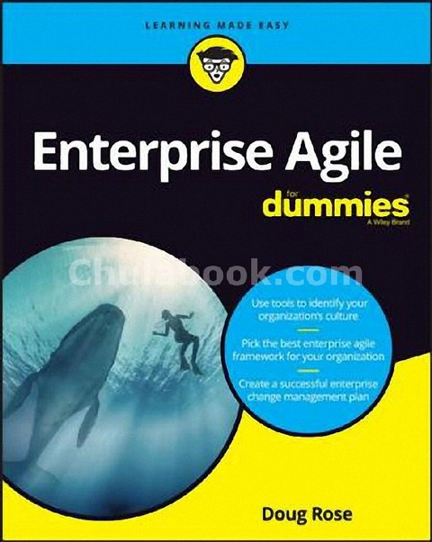 ENTERPRISE AGILITY FOR DUMMIES