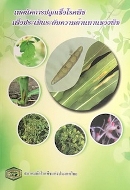 เทคนิคการปลูกเชื้อโรคพืชเพื่อประเมินระดับความต้านทานของพืช