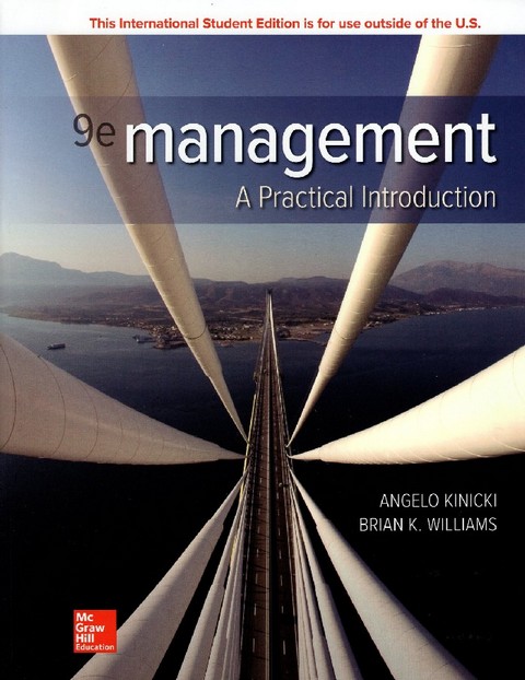 MANAGEMENT: A PRACTICAL INTRODUCTION (IE)