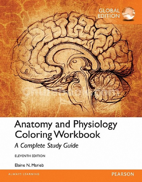 ANATOMY AND PHYSIOLOGY COLORING WORKBOOK: A COMPLETE STUDY GUIDE (GLOBAL EDITION)