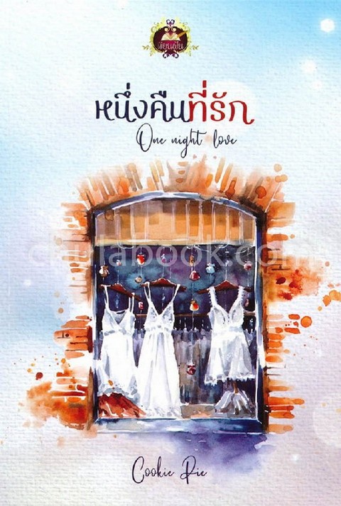 หนึ่งคืนที่รัก (ONE NIGHT LOVE)