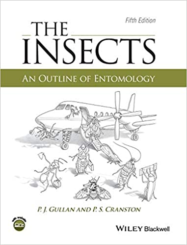 THE INSECTS: AN OUTLINE OF ENTOMOLOGY (HC)