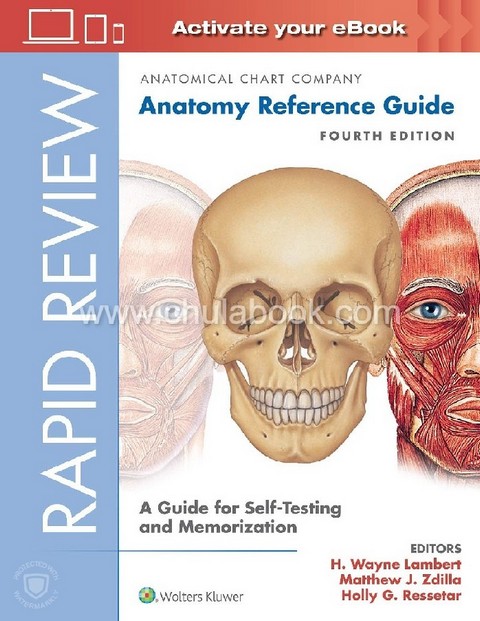 RAPID REVIEW: ANATOMY REFERENCE GUIDE (SPIRAL-BOUND) | ศูนย์หนังสือจุฬาฯ