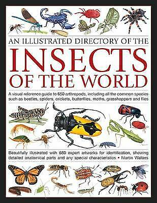ILLUSTRATED DIRECTORY OF INSECTS OF THE WORLD: A VISUAL REFERENCE GUIDE TO 650 ARTHROPODS